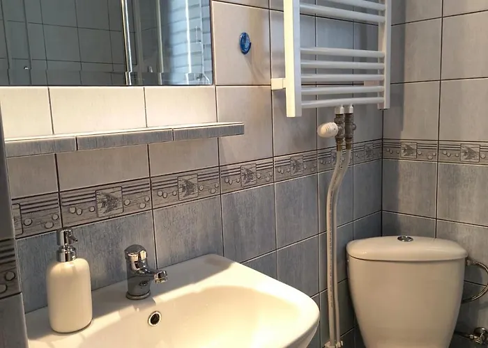 Bitwy Pod Plowcami סופוט